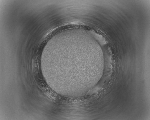 X0000078830776200612041812