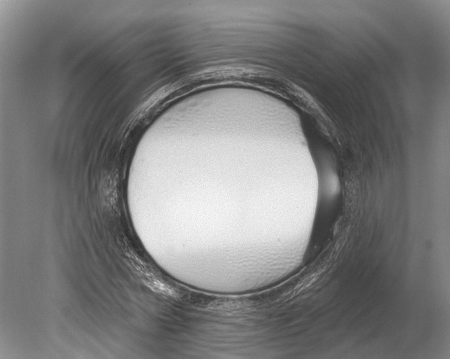 X0000078830778200612041812