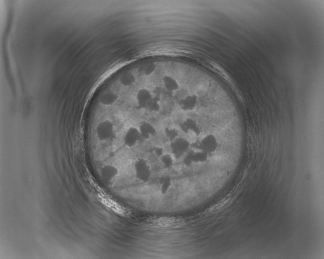 X0000078830779200612041812