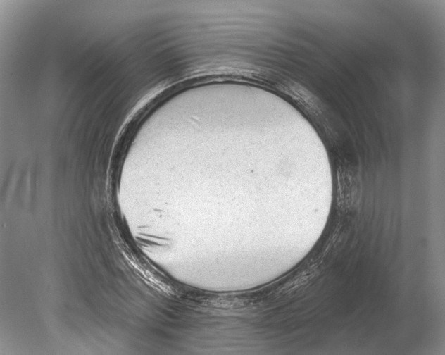 X0000078830780200612041812