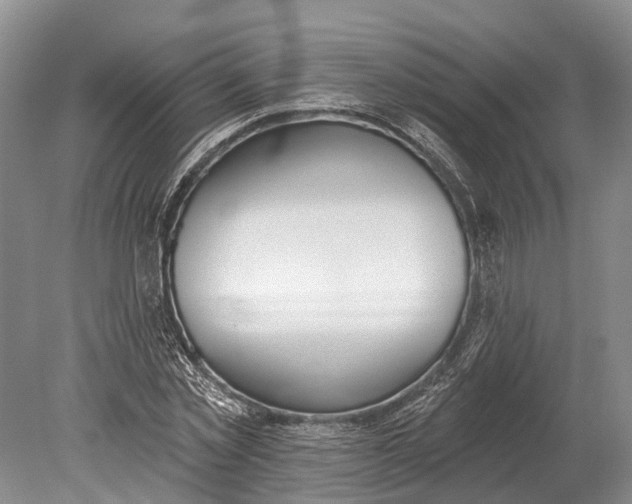 X0000078830781200612041812