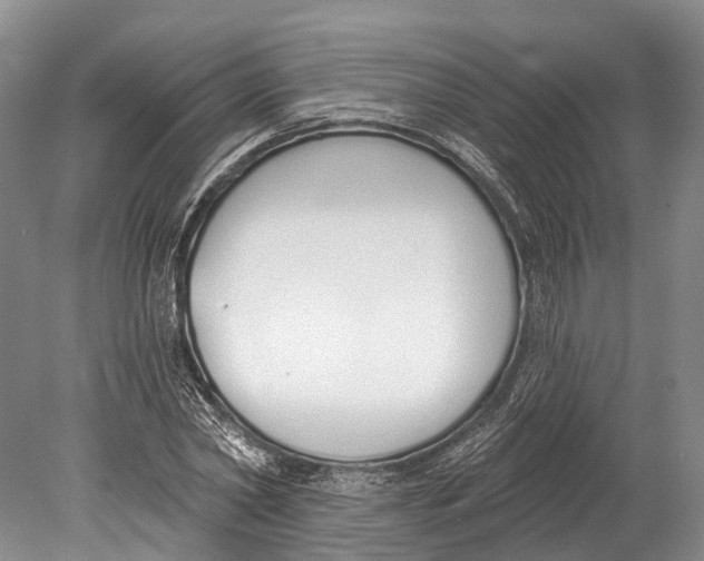 X0000078830782200612041812