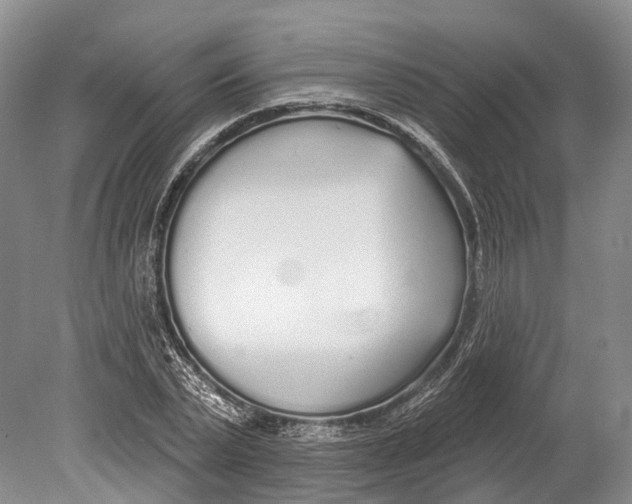 X0000078830783200612041812