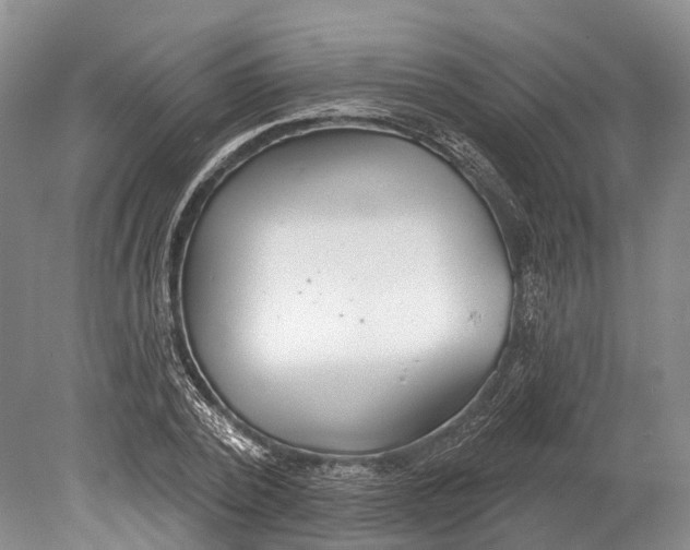 X0000078830784200612041812