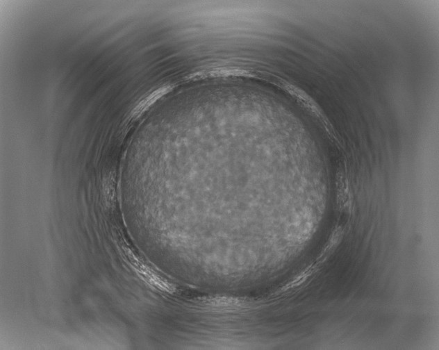 X0000078830785200612041812