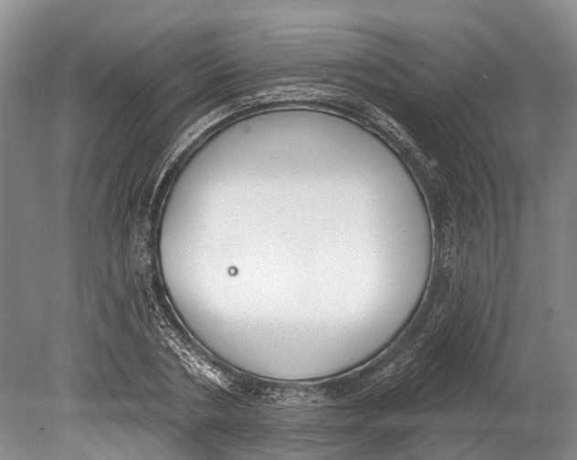 X0000078830786200612041812