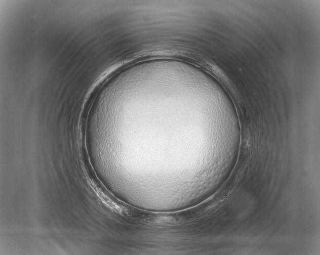 X0000078830787200612041812