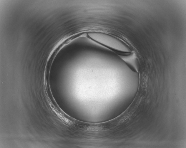 X0000078830788200612041812