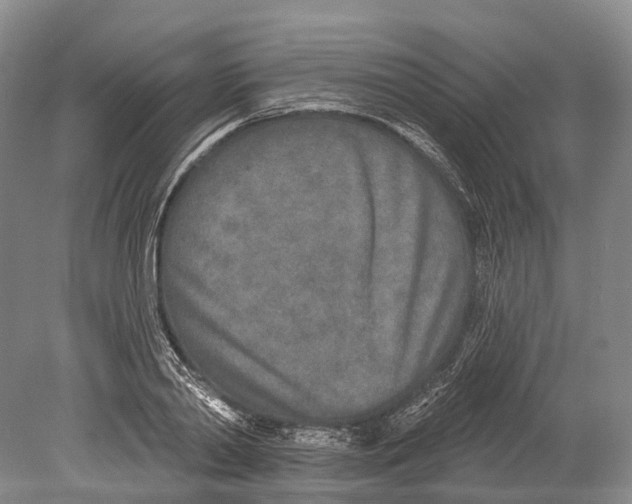 X0000078830790200612041812