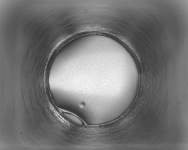 X0000078830791200612041812