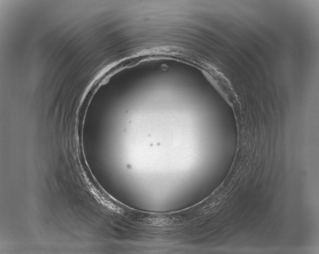 X0000078830792200612041812