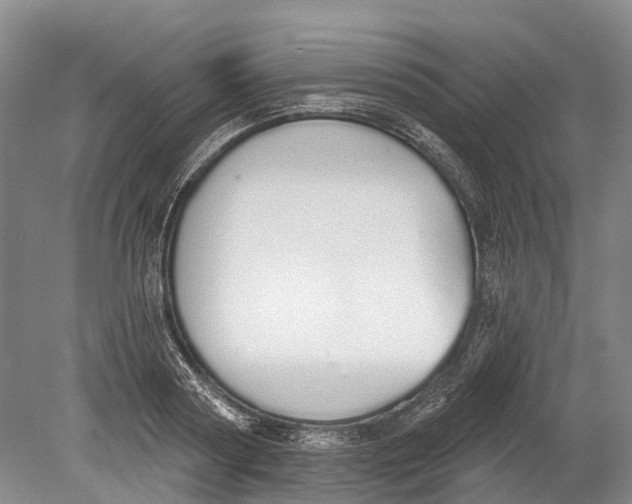 X0000078830794200612041812