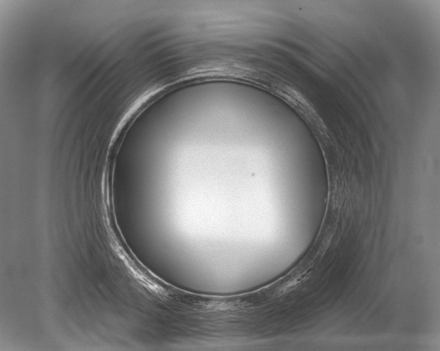 X0000078830796200612041812