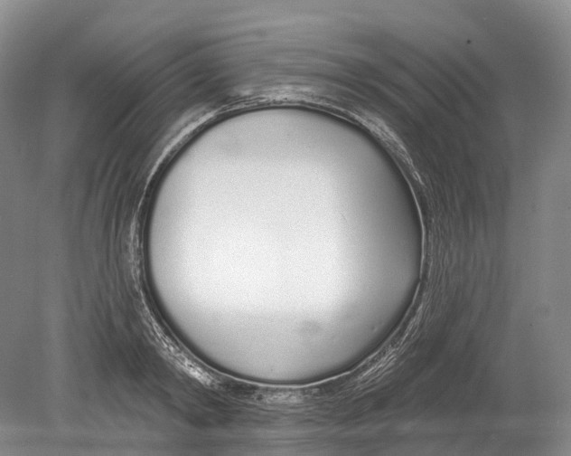 X0000078830798200612041812