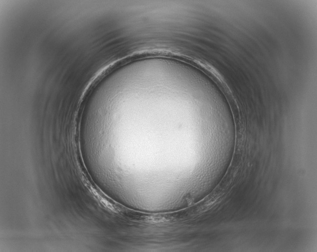 X0000078830799200612041812