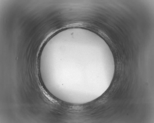 X0000078830800200612041812