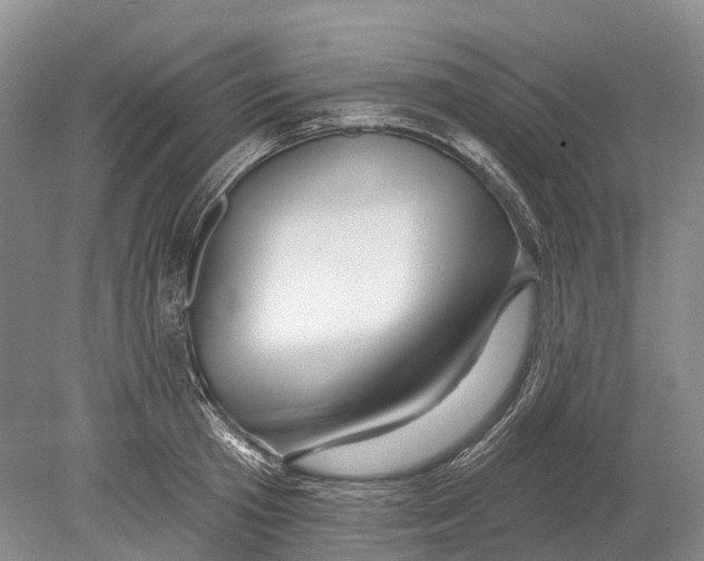 X0000078830801200612041812