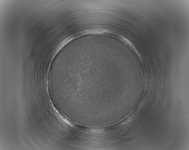 X0000078830802200612041812