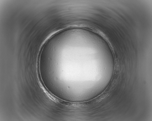 X0000078830803200612041812