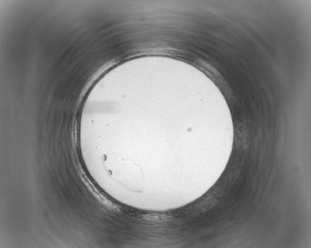 X0000078830804200612041812