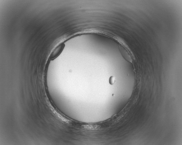 X0000078830805200612041812