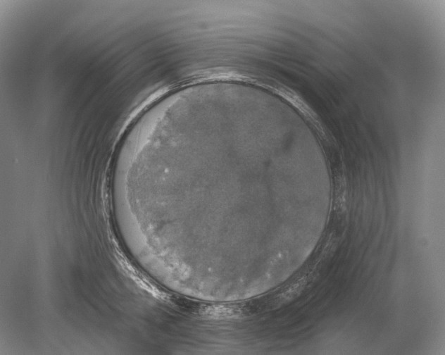 X0000078830806200612041812