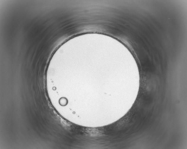 X0000078830807200612041812