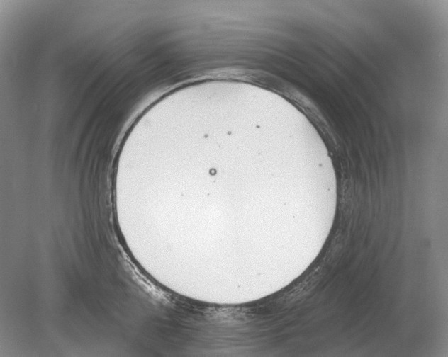 X0000078830808200612041812