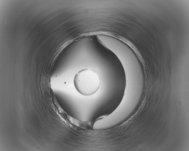 X0000078830809200612041812