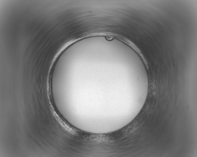 X0000078830811200612041811