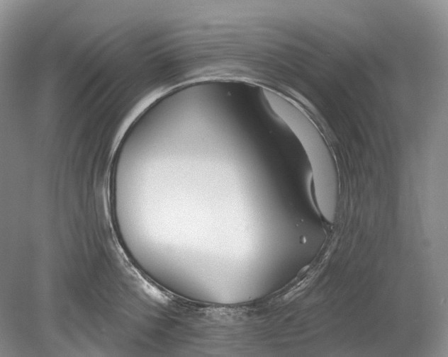 X0000078830812200612041811