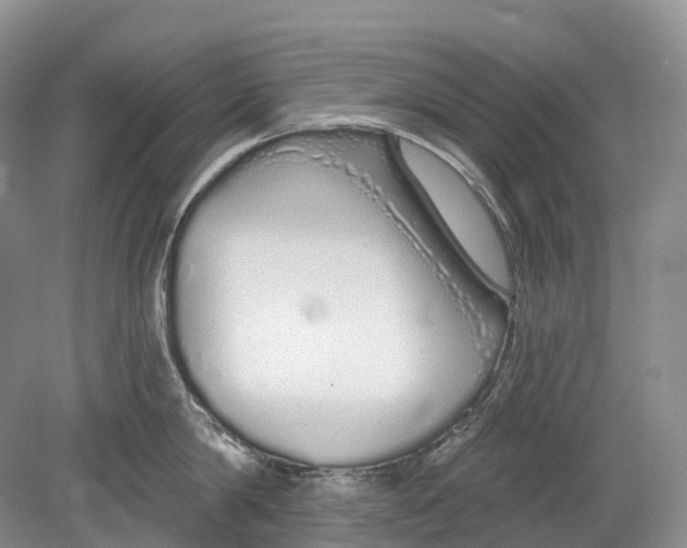 X0000078830814200612041811