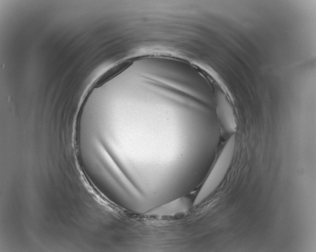 X0000078830815200612041811