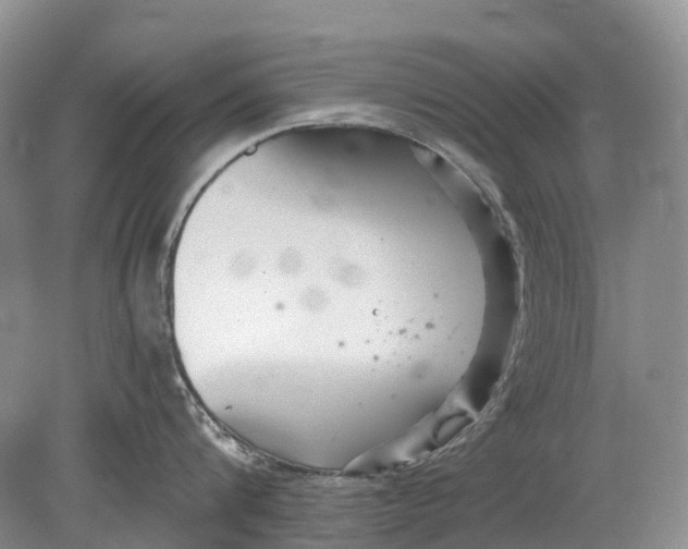 X0000078830816200612041811