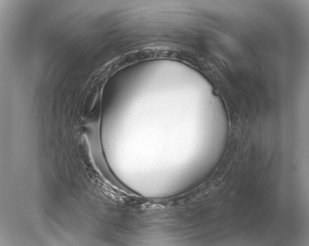 X0000078830821200612041811