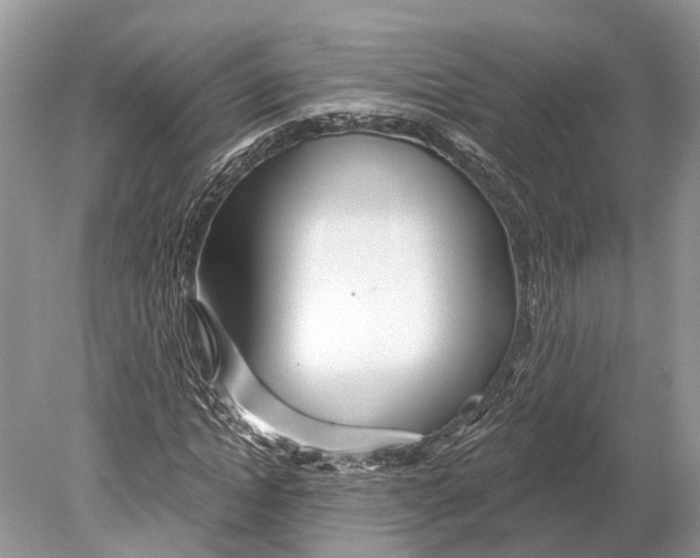 X0000078830822200612041811