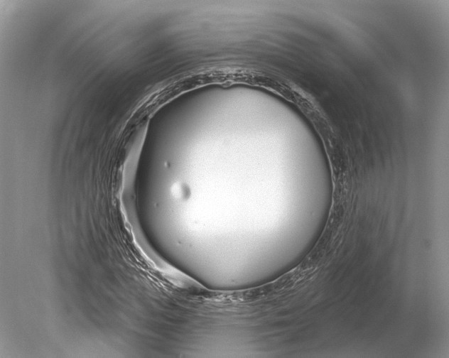 X0000078830823200612041811