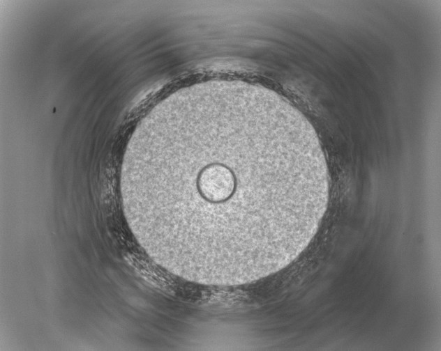 X0000078830824200612041811