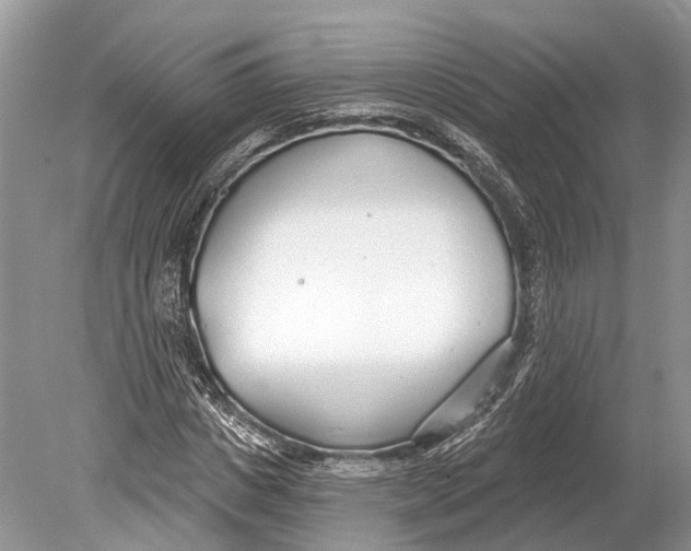 X0000078830825200612041811