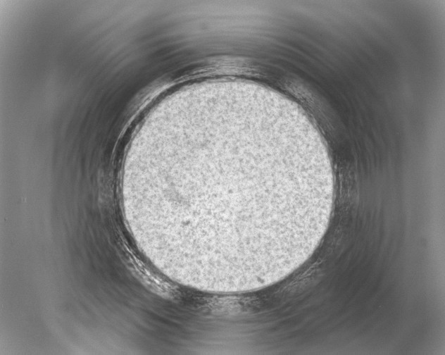 X0000078830828200612041811