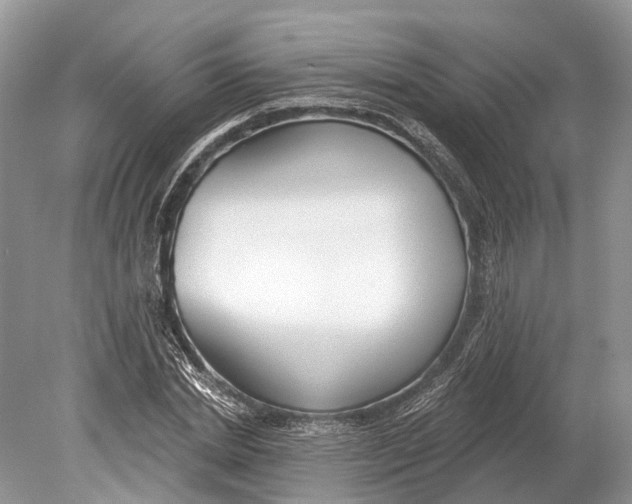 X0000078830830200612041811