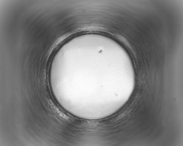 X0000078830831200612041811