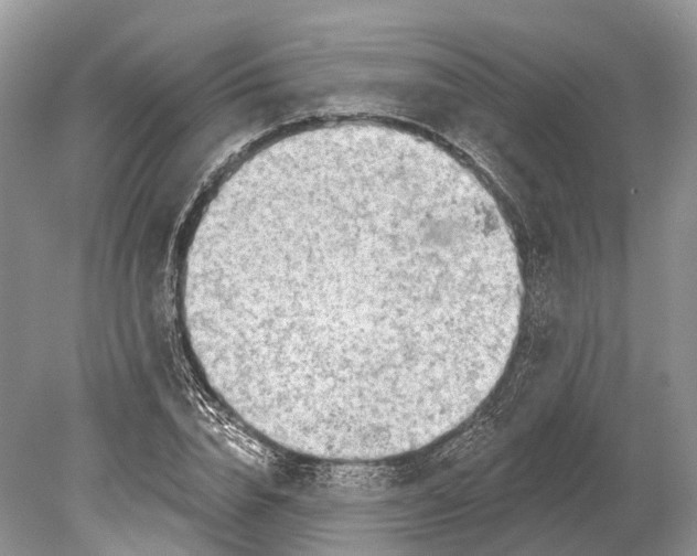 X0000078830832200612041811