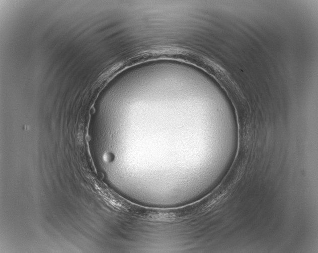 X0000078830833200612041811