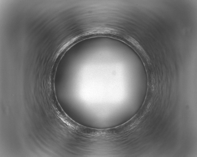 X0000078830834200612041811