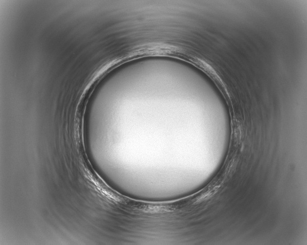 X0000078830835200612041811