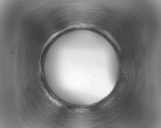 X0000078830837200612041811