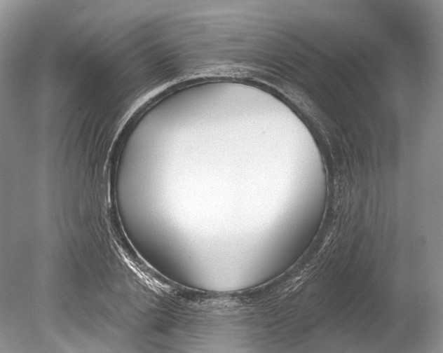 X0000078830838200612041811