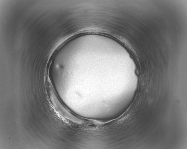 X0000078830839200612041811