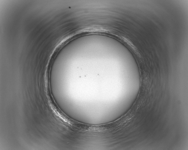 X0000078830840200612041811